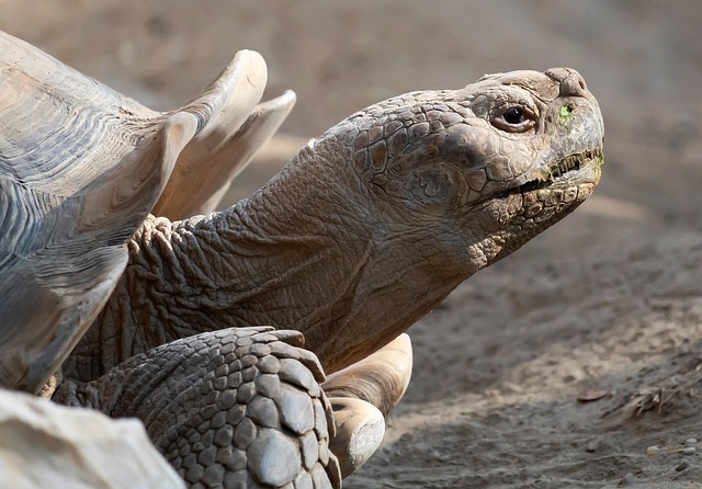Simon Carter SIPS Ground Screws Managing Director founder professional portrait